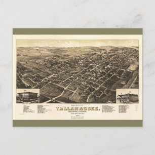 Aerial View of Tallahassee, Florida (1885) Briefkaart