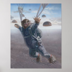 Aerial Wombat Joyride Poster