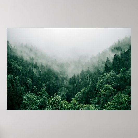 AERIËLE FOTO VAN GROENE BOMEN POSTER (Voorkant)