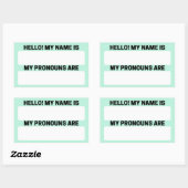 Aero Blue Name & Pronoun Labels (Vel)