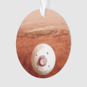 Aérocoque Avec Perpersévérance Rover Descente Vers (devant)