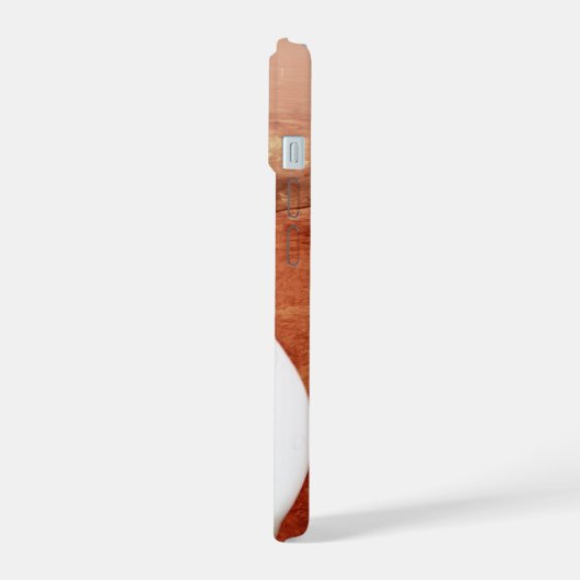 Aérocoque Avec Perpersévérance Rover Descente Vers (Côté gauche)