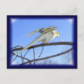 Aerodynamische Briefkaarten (Voorkant)