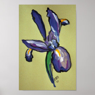 Aeronautical Iris Modern Painting Art Print Poster