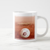 Aeroshell met doorzettingsvermogen Rover daalt naa Extra Grote Beker (Rechts)