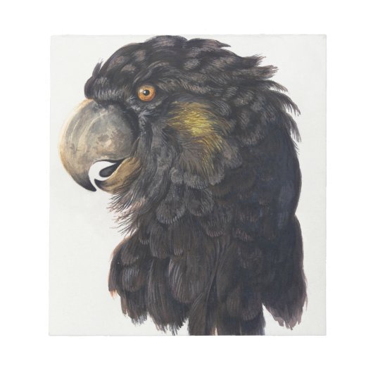 Aert Schouman Bird Head Notitieblok (Voorkant)