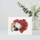 Aert Schouman schilderij, hoofd van een Macaw Briefkaart (Staand voorkant)