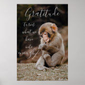 Aesop Gratitude Quote, aap Poster (Voorkant)