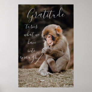 Aesop Gratitude Quote, aap Poster
