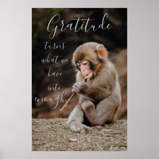 Aesop Gratitude Quote, aap Poster (Voorkant)
