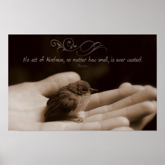 Aesop Inspirerend Quote "Akte van Vriendelijkheid" Poster (Voorkant)