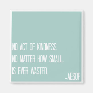 Aesop Kindness Quitter Magnet