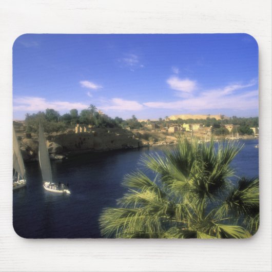 AF, Egypte, Opper-Egypte, Aswan. De Nijl Muismat (Voorkant)