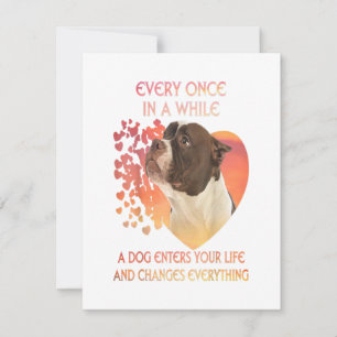 Af en toe komt een hond je leven binnen kaart