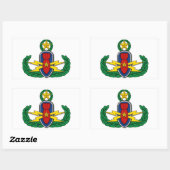 AF EOD Master 3D Rechthoekige Sticker (Vel)