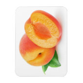 Afabrikozen Magneet (Verticaal)