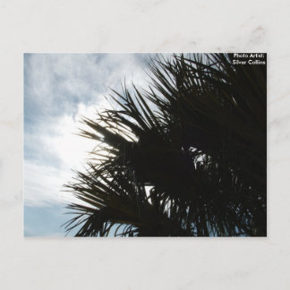 Afbeelding 150, Fotoartiest: Silver Collins Briefkaart