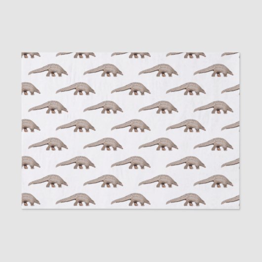 Afbeelding cartoon van pangoline tissuepapier (Voorkant)