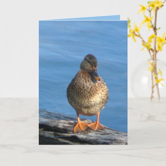 Afbeelding Dag Kaart (Gele Bloem)