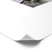 afbeelding lijst poster (Hoek)