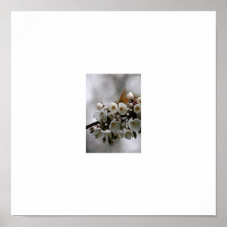 afbeelding lijst poster