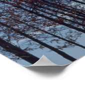 Afbeelding met zandbomen poster (Hoek)