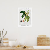 Afbeelding, Poster van botanische illustratie (Keuken)