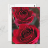 Afbeelding rode rozen briefkaart (Voorkant / Achterkant)