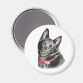 Afbeelding Schipperke Magneet (Voorkant / Achterkant)