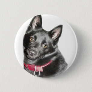 Afbeelding Schipperke Ronde Button 5,7 Cm