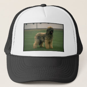 Afbeelding Sheep Dog Trucker Pet