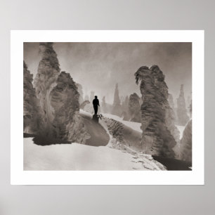  afbeelding, Trail door het bos Poster