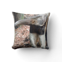 afbeelding van anteaterneushoorn met verhoogd wild