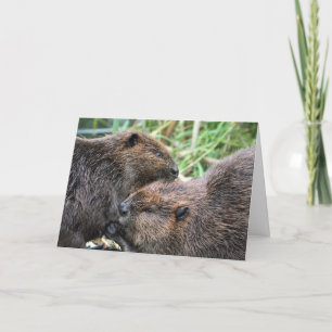 Afbeelding van Beavers Grooming Kaart