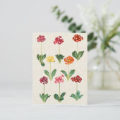 afbeelding van botanische primrose briefkaart (Staand voorkant)
