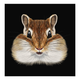Afbeelding van Chipmunk. Foto Afdruk