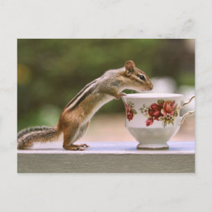 Afbeelding van Chipmunk met China Teacup Briefkaart