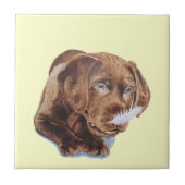 afbeelding van chocoladebruine labrador puppy grap tegeltje (Voorkant)