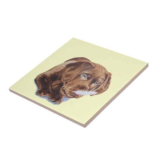 afbeelding van chocoladebruine labrador puppy grap tegeltje (Zijkant)