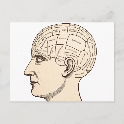  Afbeelding van de Anatomie Brain Map Briefkaart (Voorkant)