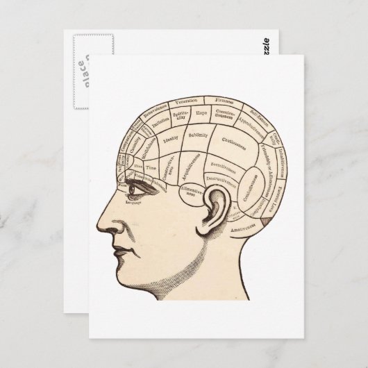  Afbeelding van de Anatomie Brain Map Briefkaart (Voorkant / Achterkant)