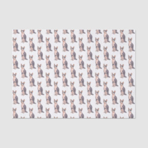 Afbeelding van de cartoon van sphynx-katten tissuepapier