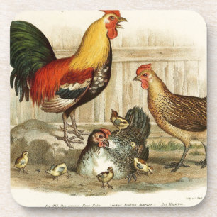 afbeelding van de Chicken-familie Onderzetter