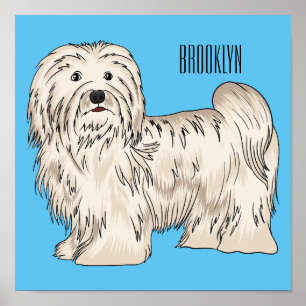 Afbeelding van de Havanese cartoon Poster