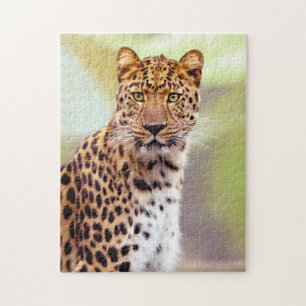 Afbeelding van de Leopard-foto Legpuzzel