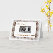 Afbeelding van de ouderdomsoppas, slaperige hond kaart (Gele Bloem)