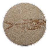 Afbeelding van de Vis Fossil Sandstone Ceramic Kno Keramische Knop (Voorkant)