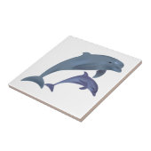 Afbeelding van dolfijnen tegeltje (Zijkant)