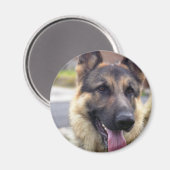 Afbeelding van Duitse Herder Magnet Magneet (Voorkant / Achterkant)