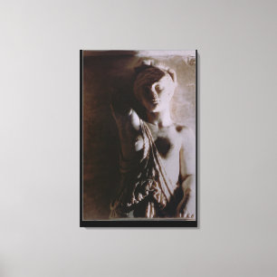 Afbeelding van een Amazone Canvas Afdruk